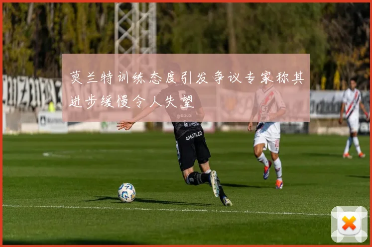 莫兰特训练态度引发争议专家称其进步缓慢令人失望