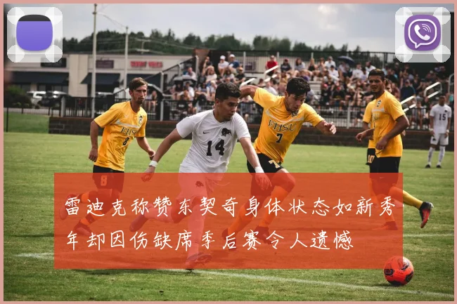 雷迪克称赞东契奇身体状态如新秀年却因伤缺席季后赛令人遗憾